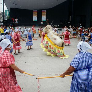 Folia da Vaca Mineira