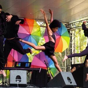 Freedom Dance